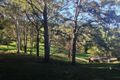 Property photo of 309 Black Pinch Road Cootharaba QLD 4565