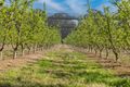 Property photo of 8 Roscommon Road Arcadia NSW 2159