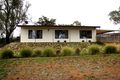 Property photo of 320 Morgan Road Barmera SA 5345