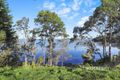 Property photo of 160 Tuggerawong Road Wyongah NSW 2259
