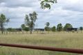 Property photo of 661 Ridgelands Road Alton Downs QLD 4702