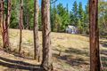 Property photo of 109 Cudgee Road Mountain River TAS 7109