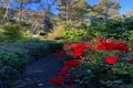 Property photo of 10 Blanche Parade Mount Macedon VIC 3441