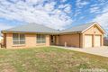 Property photo of 10A Nelson Street Raglan NSW 2795