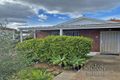 Property photo of 50-52 Northcote Street Canterbury NSW 2193