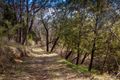 Property photo of 88 Mawson Road Basket Range SA 5138