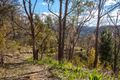 Property photo of 88 Mawson Road Basket Range SA 5138