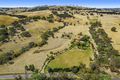 Property photo of 752 Wargeila Road Bango NSW 2582