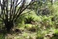 Property photo of 37 Woolleys Road Takone TAS 7325