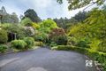 Property photo of 214 Monbulk Road The Patch VIC 3792