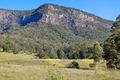Property photo of 2850 Nerang Murwillumbah Road Natural Bridge QLD 4211