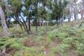 Property photo of 36 Shelly Beach Road Koonya TAS 7187