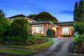 Property photo of 41 Argyle Street Donvale VIC 3111