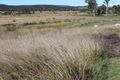 Property photo of 13 Nichlaus Court Hatton Vale QLD 4341