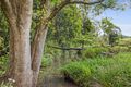 Property photo of 597 Houghlahans Creek Road Pearces Creek NSW 2477