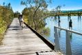 Property photo of 19 Barcoola Place Twin Waters QLD 4564