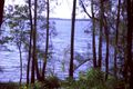 Property photo of 57 Lakes Boulevard Wooloweyah NSW 2464