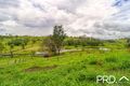Property photo of 532 Pines Road Edenville NSW 2474