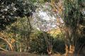 Property photo of 1692 Riverway Drive Kelso QLD 4815