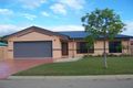 Property photo of 15 Steele Place Kirwan QLD 4817