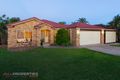 Property photo of 59 Dampier Crescent Drewvale QLD 4116