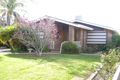 Property photo of 7 Vine Court Robinvale VIC 3549