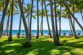 Property photo of 9 Veivers Road Palm Cove QLD 4879