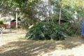 Property photo of 20 Walter Street Murarrie QLD 4172