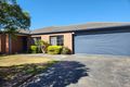 Property photo of 16 Rosslare Place Cranbourne VIC 3977