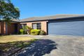 Property photo of 16 Rosslare Place Cranbourne VIC 3977