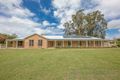 Property photo of 5 Bounty Close Hinton NSW 2321