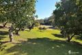 Property photo of 331 Highlands Road Eudlo QLD 4554
