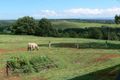 Property photo of 585 Pearces Creek Road Alstonvale NSW 2477
