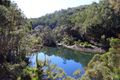 Property photo of 1318 Lower Bielsdown Road Tallowwood Ridge NSW 2453
