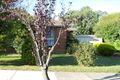 Property photo of 8 Good Governs Street Mitcham VIC 3132