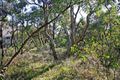 Property photo of 6 Merran Grove Fairhaven VIC 3231