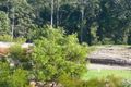 Property photo of 18 Heathwren Street Forest Glen QLD 4556