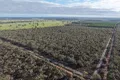 Property photo of Jim Ryans Road Edenhope VIC 3318