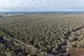 Property photo of Jim Ryans Road Edenhope VIC 3318