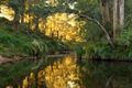 Property photo of 49 Moss Vale Road Kangaroo Valley NSW 2577