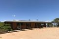 Property photo of 349 Grub Track Road Perlubie SA 5680