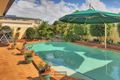 Property photo of 39 Shylock Crescent Sunnybank Hills QLD 4109