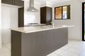Property photo of 13 Colyton Street Torquay QLD 4655