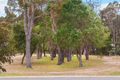 Property photo of 9 Calabrese Close Margaret River WA 6285