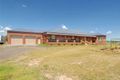 Property photo of 335 Loemans Road Bulla VIC 3428