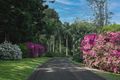 Property photo of 517 Friday Hut Road Brooklet NSW 2479