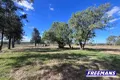 Property photo of 42 Carews Road Gordonbrook QLD 4610