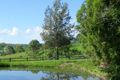 Property photo of 71 Koree Island Road Beechwood NSW 2446