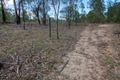 Property photo of 1028 Pine Creek Road Electra QLD 4670