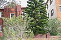 Property photo of 4/3 Brighton Boulevard Bondi Beach NSW 2026